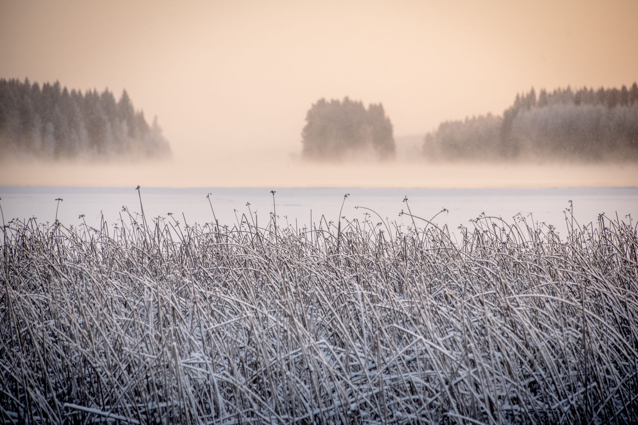 Hyinen maisemakuva Kapeenniemen virkistysalueelta.