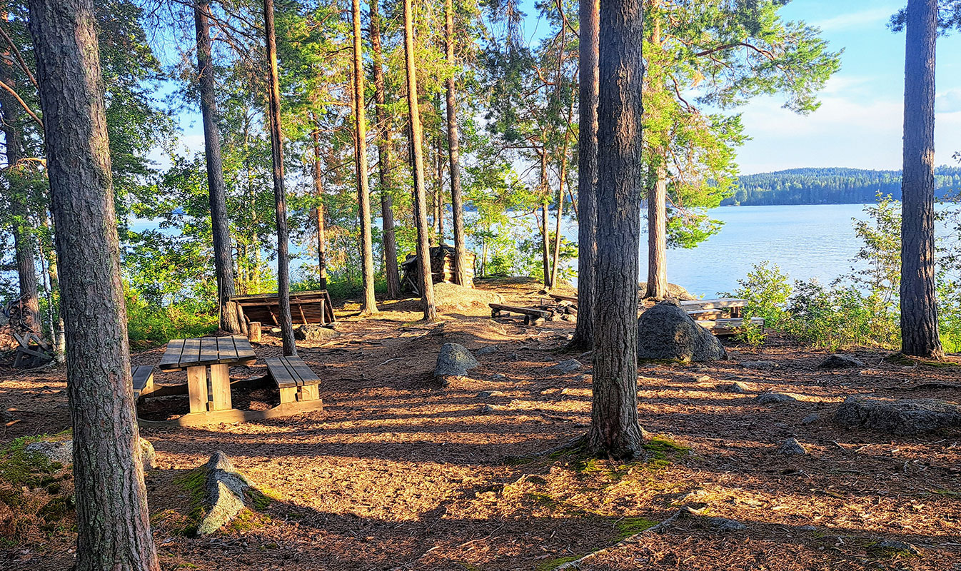 Istumapaikka saaressa mäntyjen lomassa, järvi taustalla.