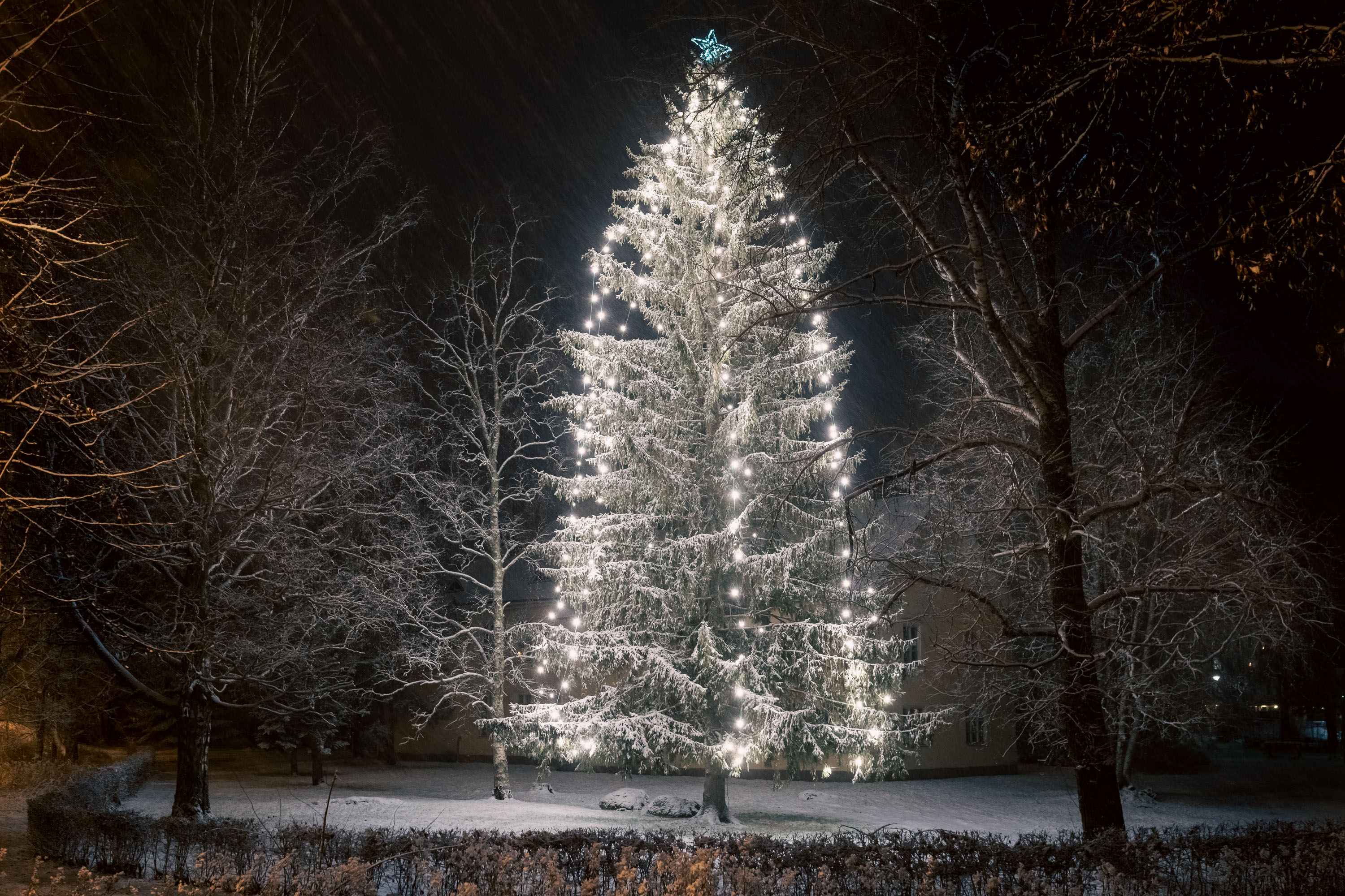 Kuvassa suuri kuusi Suolahdessa, joka on koristeltu valoin ja sen latvassa on tähti.