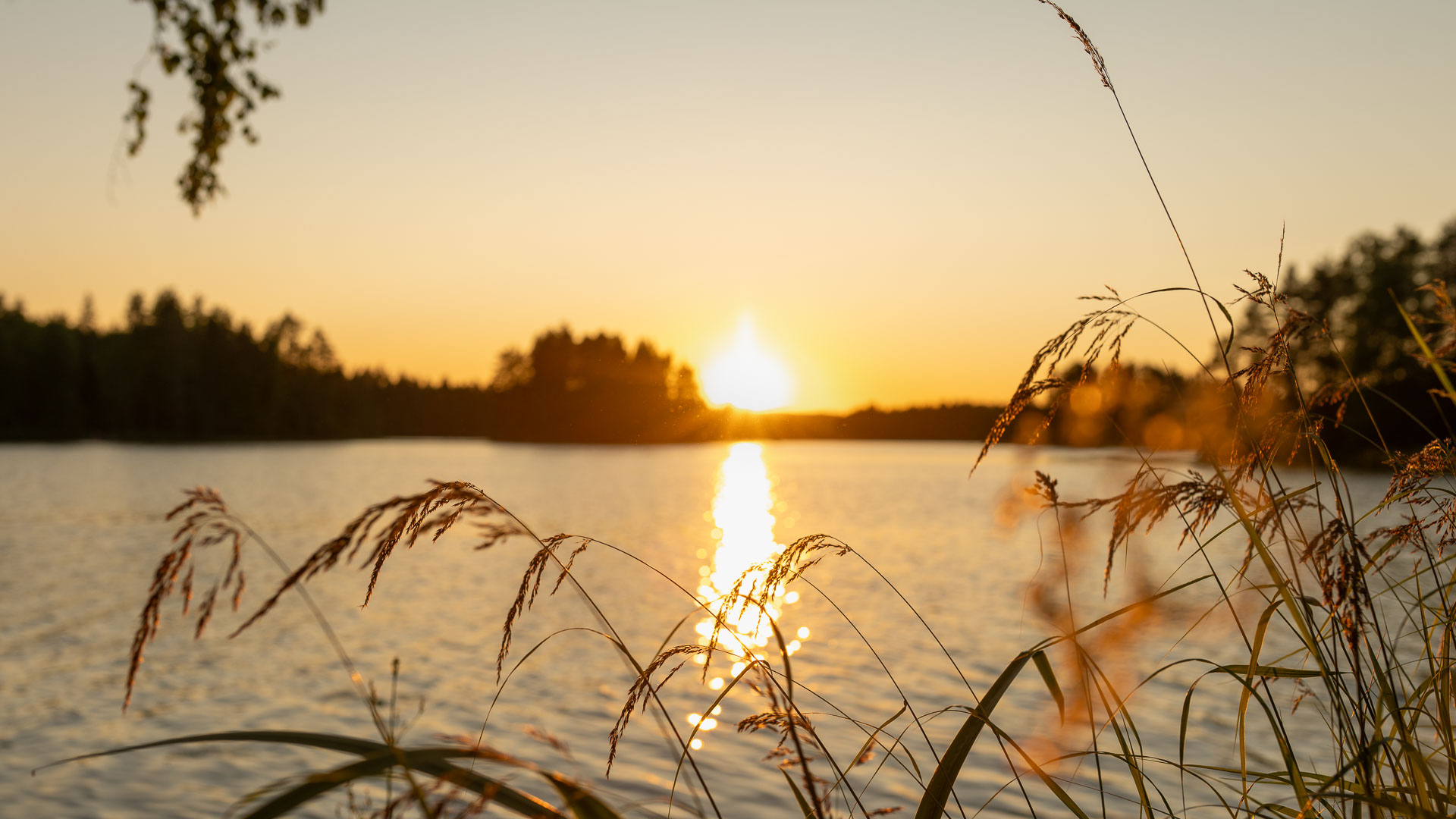 Auringonlasku järvimaisemassa ja etualalla heiniä