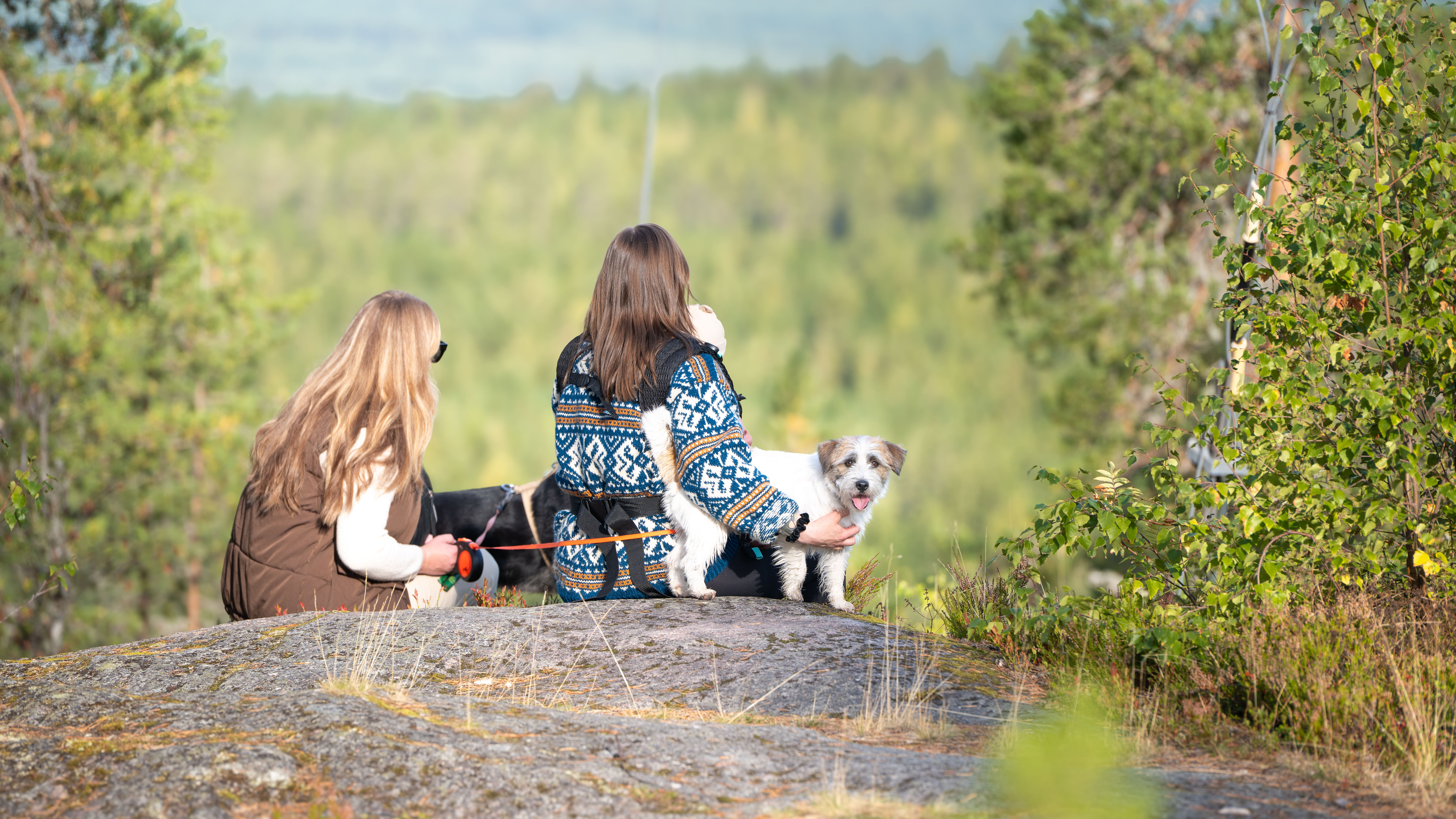 Tärttävuoren laella kalliolla istuu kaksi henkilöä koiran kanssa.