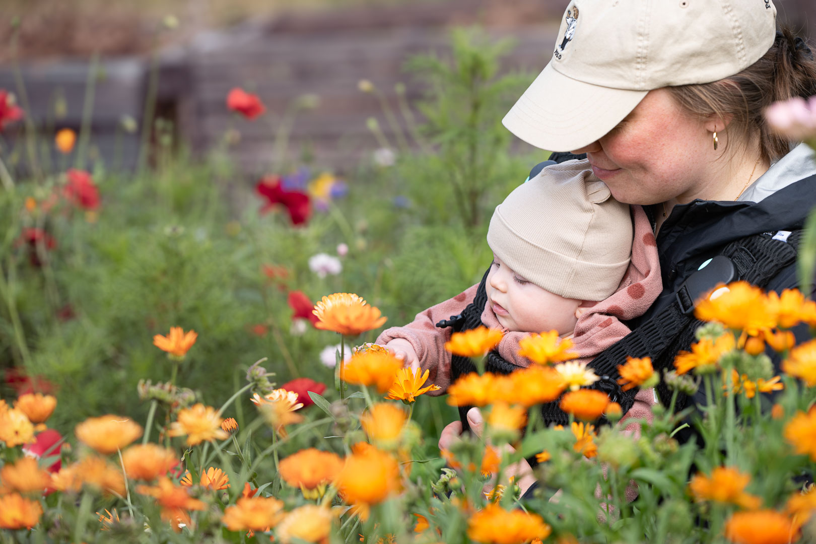 Vauva tutkii kukkaniittyä.