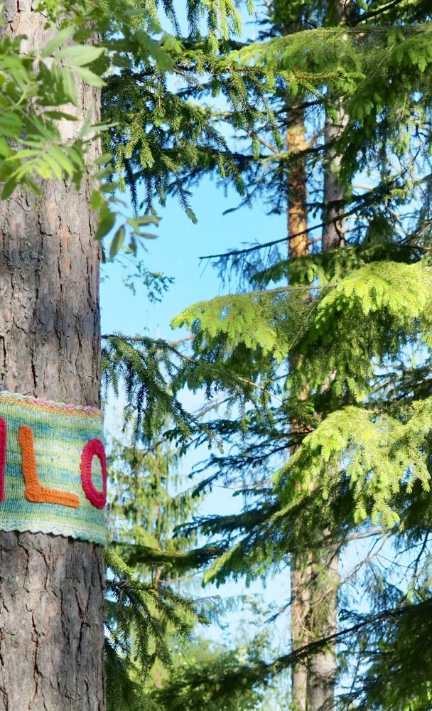 Äänekosken Taidepuisto