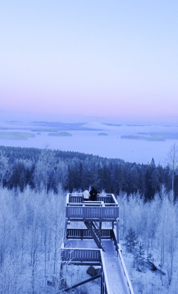 Metsä tarjoaa mahdollisuuksia - Mitä kaikkea metsässä voikaan tehdä?