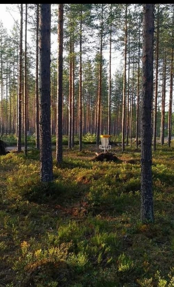 Oletko testannut frisbeegolfia? - Tutustu Äänekosken frisbeegolfratoihin!