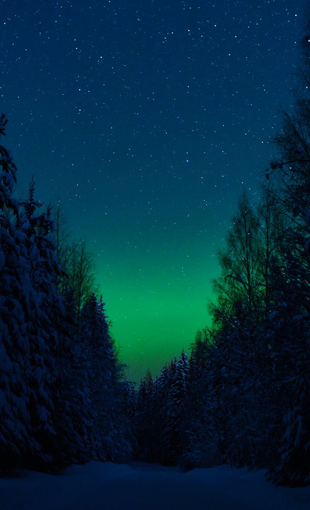 Pimeän ajan matkailu – nautitaan luonnollisesta pimeydestä