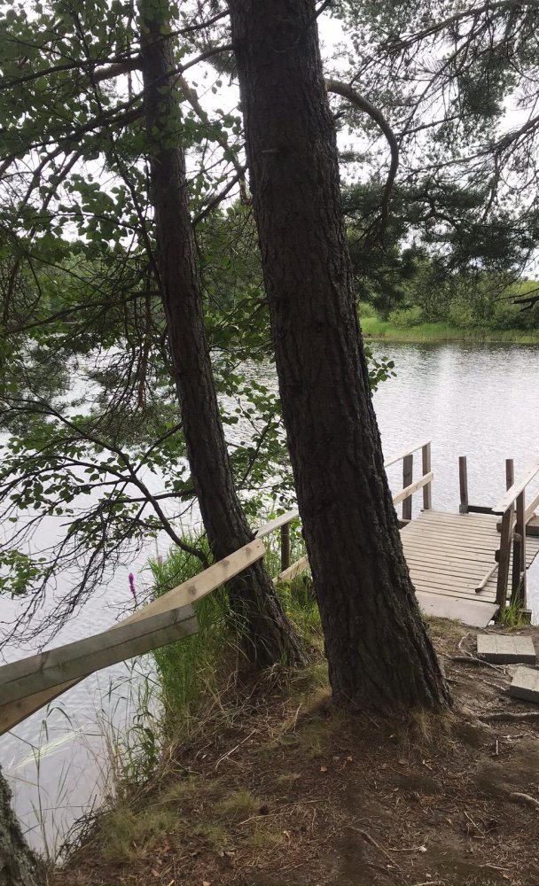 Uittokämpästä lomamökiksi