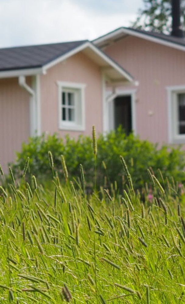 Unelma vaaleanpunaisesta siirtolapuutarhamökistä