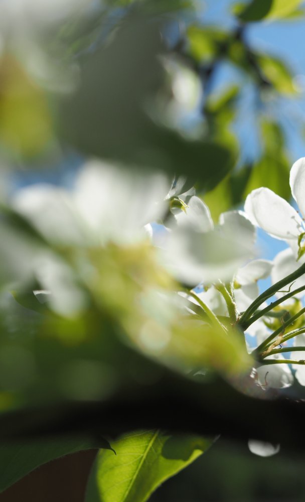 Vietä unohtumaton kesä Äänekoskella!