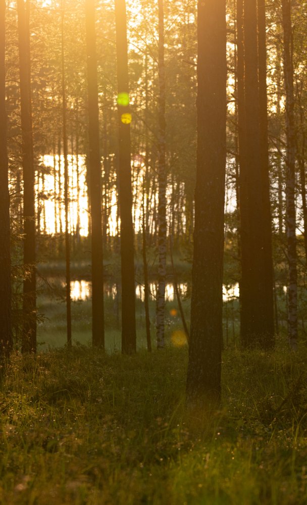 Viisi parasta tapaa viettää syyslomaa Äänekoskella – Nauti luonnon väriloistosta!